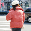 Winter Jacket Women